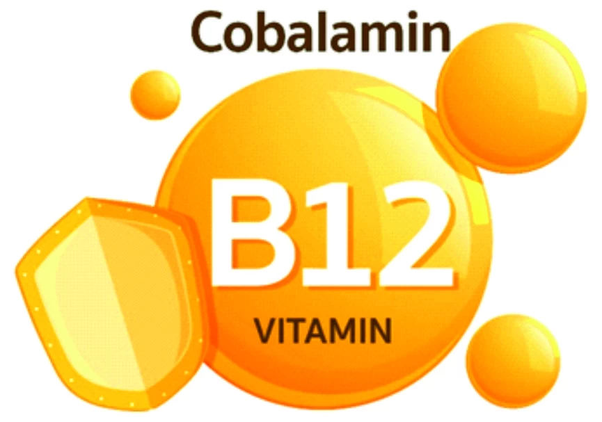B12 Vitamin Değerim Neden Önemli?