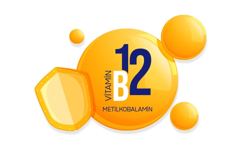 B12 Vitamin Değerim Neden Önemli?