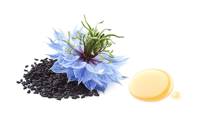 Doğadan Gelen Destek : Çörek Otu