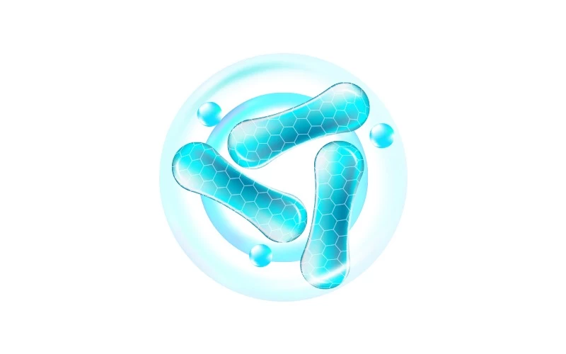 Probiyotik, Prebiyotik ve Sinbiyotik Nedir?