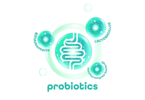 Probiyotik, Prebiyotik ve Sinbiyotik Nedir?